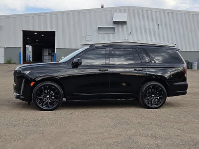 2023 Cadillac Escalade 4WD Sport Platinum