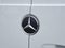 2025 Mercedes-Benz Sprinter 2500 2500 Standard Roof I4 Diesel HO 144" RWD