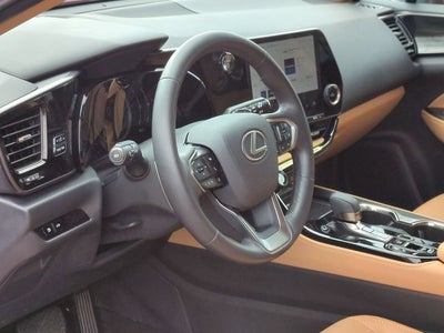 2025 Lexus NX 350h Base
