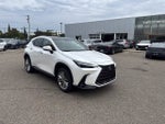 2025 Lexus NX 350h Luxury