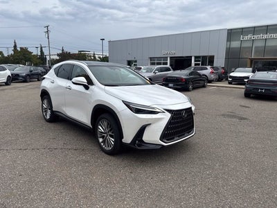 2025 Lexus NX 350h Luxury