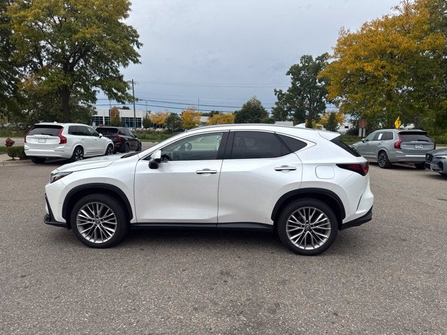 2025 Lexus NX 350h Luxury