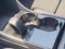 2023 Volvo C40 Recharge Pure Electric Ultimate
