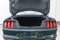 2019 Ford Mustang Bullitt