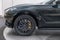 2026 Aston Martin DBX S
