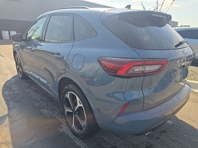 2023 Ford Escape Hybrid ST-Line Elite