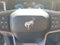 2025 Ford Bronco Badlands RTR ROVER