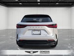 2023 Lexus NX 350 Base